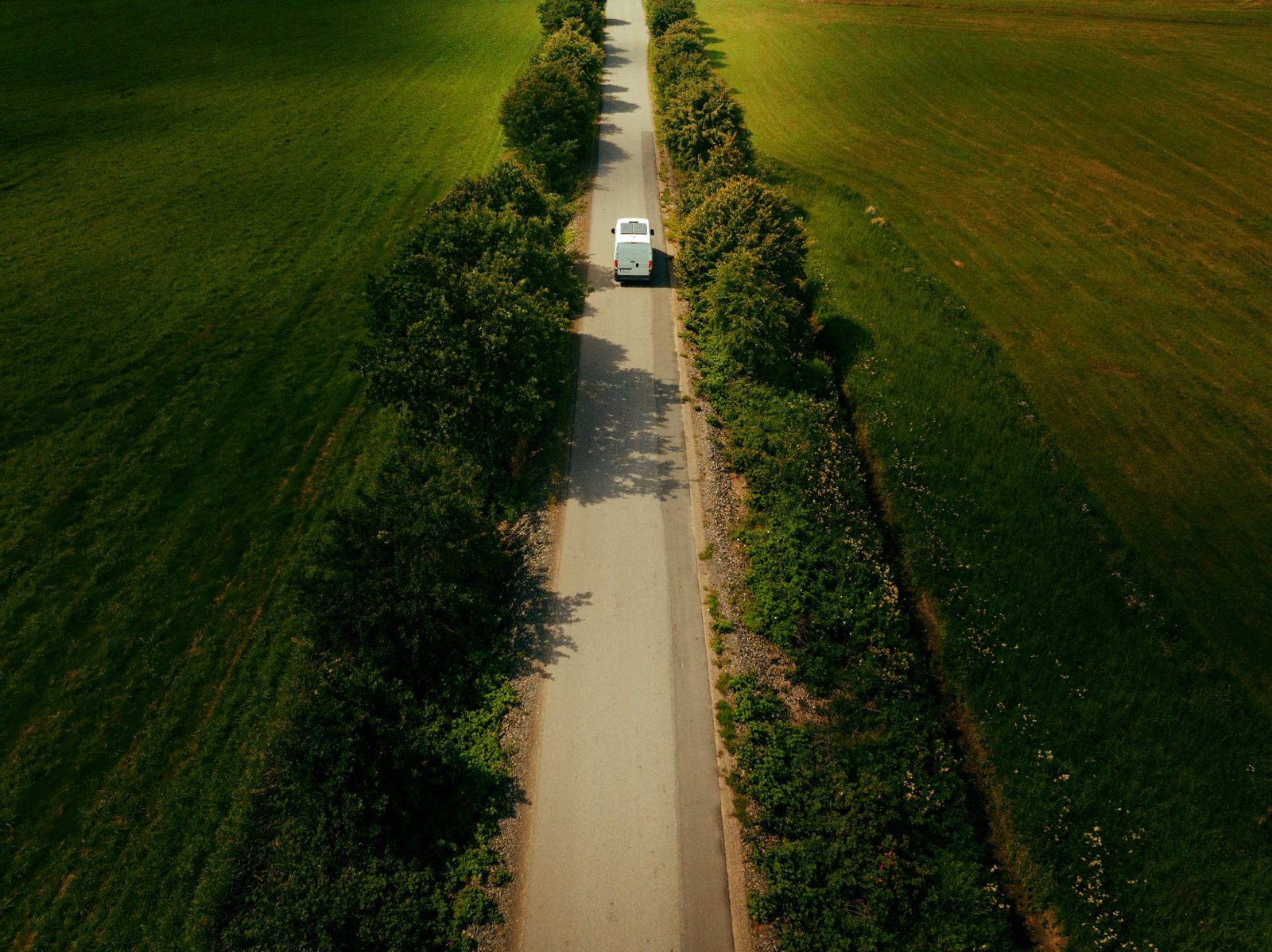 Aerial view of a van on a tree-lined road