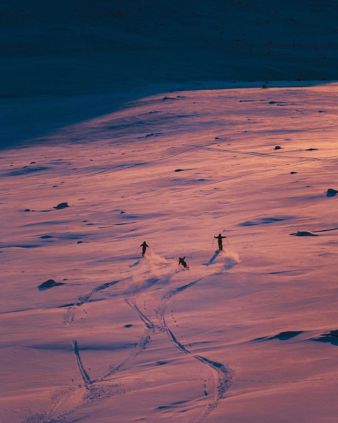 Three skiers in pink evening light